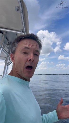 Wow, look at all the dolphins swimming near Jupiter Inlet today!🐬🌊 Filmed August 29th, 2025. | Paul Dabill Photography