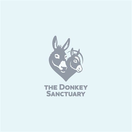 More donkeys found loving homes through our Rehoming Scheme in 2025. 🏡 With your support, a donkey called Duke started a new life in a Guardian home, bringing comfort to his grieving companion ➡️ bray.news/4apJELX | The Donkey Sanctuary