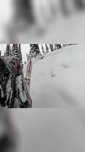 1.2K views · 14 reactions | A snowmobile kicks off an awesome ride through a winter wonderland. Witness the start as the driver gets everything just right. Ready for adventure! #Snowmobile #WinterAdventure #SnowyLandscape #OutdoorFun | Snowmobile | Facebook