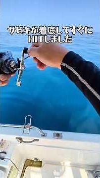 【ボートサビキ釣り】水深50mでイサキ・アジ爆釣！魚探反応狙い撃ち#サビキ釣り #ボート釣り #イサキ #アジ #オフショア