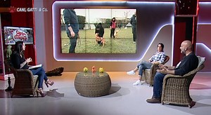 Cani, Gatti & Compagnia: l'importanza dell'addestramento - Telecolor