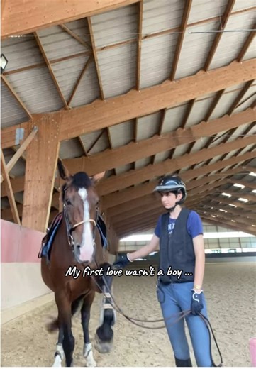 #chevaux #equestrian #equitation #cheval #cso