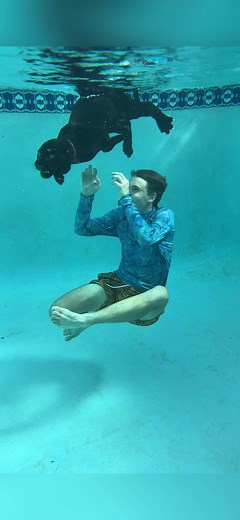 No better way to cool off in this Florida heat than with a Jaguar swim😆 #animals #cats #jaguar #notpets #swimming #summer #pool
