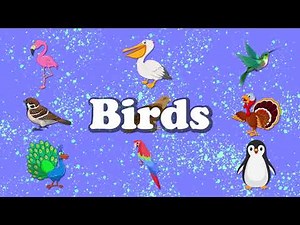 Learn Birds Vocabulary | ABC | Words From Alphabets | Talking Flashcards