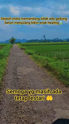 Tutorial Healing Nyegerin gratisan🍃#reels #shorts
