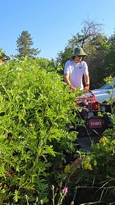 97K views · 2.5K reactions | "Just Use A Push Mower..."  | Fill's Lawn Care | Facebook