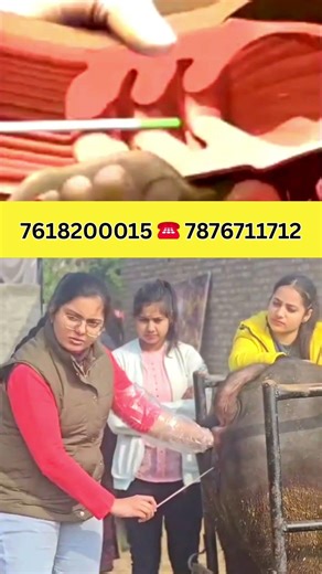 Top Artificial Insemination Training Institute | 100% Practical AI Training