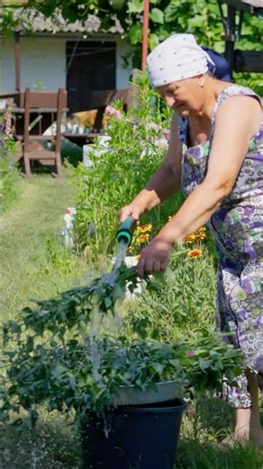 This is how they spend their golden years #elderly #gardening