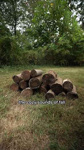 12K views · 48 reactions | Does anyone else find the sound of a log...