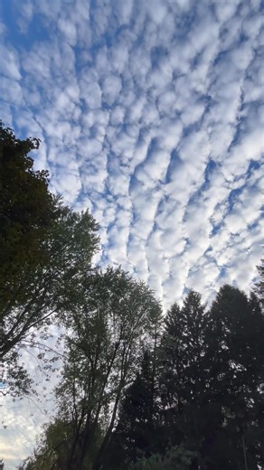 Today's sky in WNY. | Gail Gordon