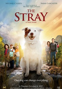 The Stray: The Stray: Trailer 1