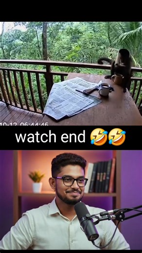  Monkey Took The Gun! You Won’t Believe What Happens Next! 藍 This...