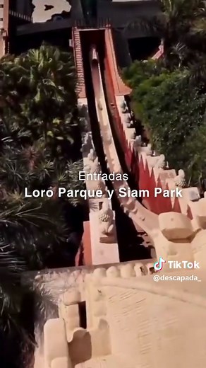 ¡5 días en Tenerife desde sólo 319€!💥 Alójate en un Hotelazo 4*🏨 con Todo Incluido 🍹🍕 E incluye entrada al Loro Parque 🐧🐯y entrada al Siam Park 🌊🛟 #tenerife #siampark #todoincluido