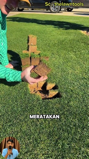 how to quickly replace grass on a golf course