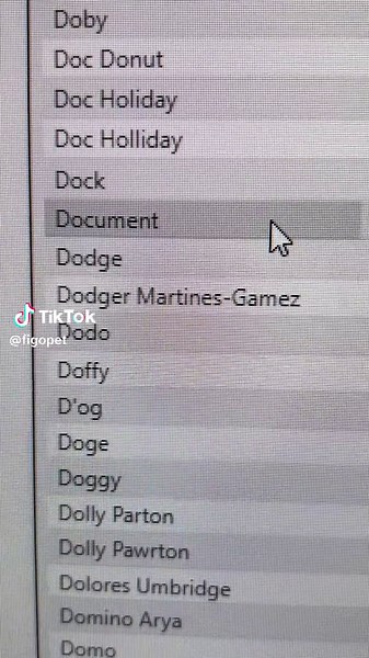 You asked for it - here’s part 14 of our favorite pet names 🐶🐱 #funnypetnames #petnames #petsoftiktok #petinsurance #funnydognames #funnycatnames #petparents #petnameideas #fyp