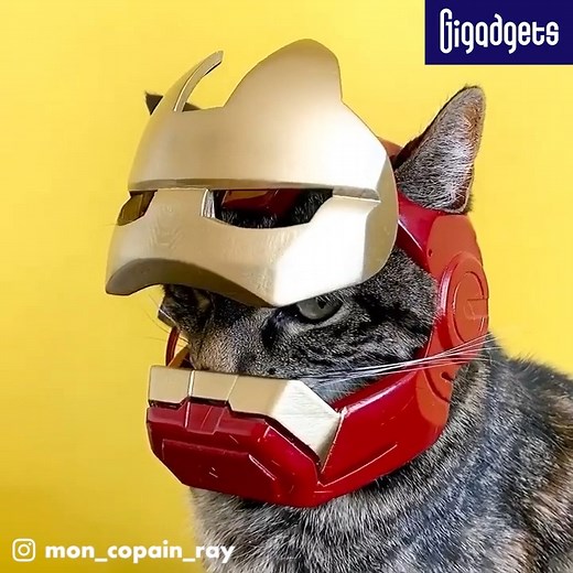 This guy 3D printed trendy helmets for his cat. Frenchman Mon_copain_ray uses special software to create unique helmet designs and then 3D prints them for his furry friend Cathode. The idea was born to ensure the cat’s safety during their outings like skiing and long bike rides through the town. Some of these mini helmets are modeled after famous costumes, such as the Darth Vader mask, Iron Man's helmet, and medieval knight's helmet, making Cathode one of the cutest feline cosplayers on the inte