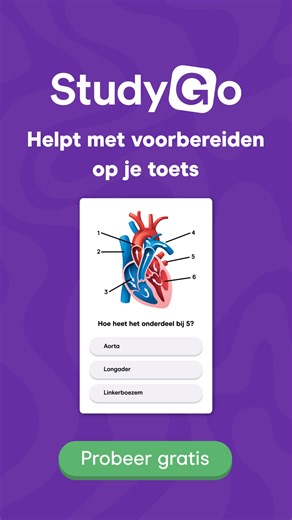 Met StudyGo oefen je eindeloos tot je het snapt! 💻 Uitlegvideo’s en samenvattingen 📚 Oefenvragen die aansluiten op je boek 🎯 Haal meer uit je inzet, zonder extra stress Je kunt StudyGo nu 7 dagen gratis proberen! | StudyGo