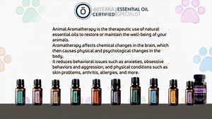 Animal Aromatherapy #HealthFocus | Republikein | Facebook