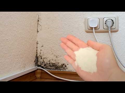 Just a handful is enough to get rid of mold and mildew from walls