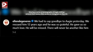 Ellen DeGeneres and Portia de Rossi mourning death of their beloved rescue dog