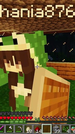 the minecraft anomaly is watching