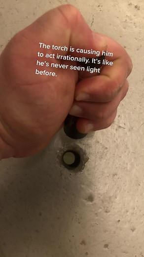 Exploring the Mystery of Sam Holeman: Hollow Man Human Experiment