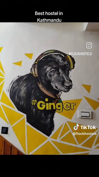Welcome to Flock Hostels! Best backpackers hostel in town! #carpediemloungeandbakery #flockhostel #hostels #besthostels #nepalhostel #kathmanduhostel #bacpackers #backpackershostel #backpacker #hostelnepal #fyp #foryou #foryoupage #viral