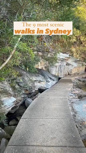 All the walks in this video 👇🏼 👣 Watsons Bay to Rose Bay walk 👣 Spit to Manly 👣 Bondi to Coogee 👣 Manly to Dee Why 👣 Watsons Bay to Bondi 👣 Rose Bay to Rushcutters 👣 Taronga to Balmoral 👣 Bicentennial Coastal Walk 👣 Manly to North Head walk Not done walking? Maybe you’d like to try: 🚶🏼‍♀️ Malabar Headland walk 🚶🏼‍♀️ Cronulla Beach walk 🚶🏼‍♀️ Bundeena to Wedding cake rock Happy walking dear Sydney! 🤗 #sydneywalk #sydneywalks | SydneyGuide