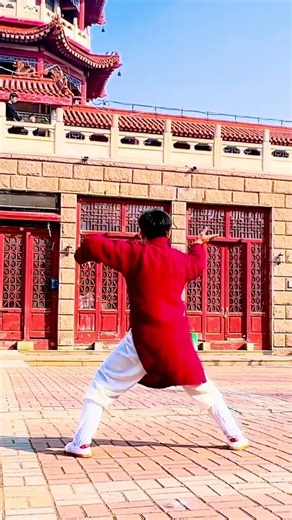 Unlock the Secrets of Xuanwu Quan's Back Techniques