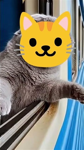 Cat Computer Mouse #catcomputermouse