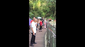 Mischievous monkey slaps elderly man's bald head leaving him shocked