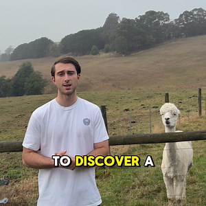 146 reactions · 7 comments | 헗헼헲혀 헬헼혂헿 헖헵헶헹헱 헠헮헸헲 헧헵헲혀헲 헠헶혀혁헮헸헲혀 헜헻...