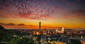 台北101展望台 チケット | Klook