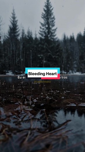 Angra - Bleeding Heart Lyrics Translation