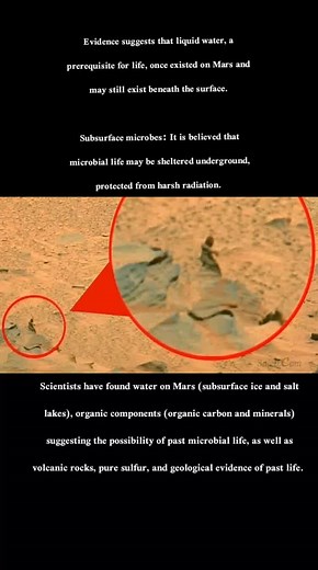 Strange Phenomena on Mars: Discoveries and Theories