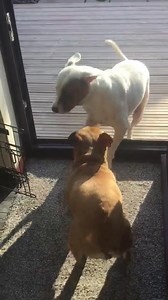 9K views · 224 reactions | We are so happy it's made us all giddy 殺...