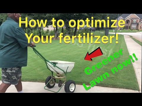 How to optimize your lawn fertilizer plus How to apply fertilizer to your lawn