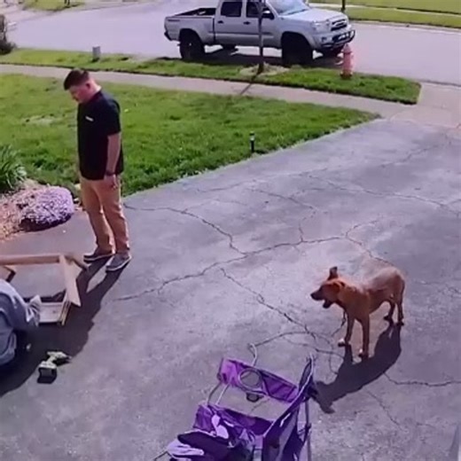 Best Viral Fails 😂 100% Unhinged Chaos | Ultimate Funny Video Humor Compilation