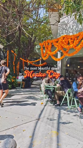 They say every city has one street that captures its soul — and for Mexico City, this might just be it.🏵️✨ Colima Street in Roma Norte always feels cinematic — but in late October, leading up to Dia de Muertos it turns extraordinary. 💀 🏵️✨ Doorways are dressed in marigolds aka cempasúchil, facades bloom with color, and the city hums with that quiet anticipation of celebration and remembrance. 📌Save this - You’ll need it when you visit CDMX this time of year. It’s the slow walk down you’ll ne