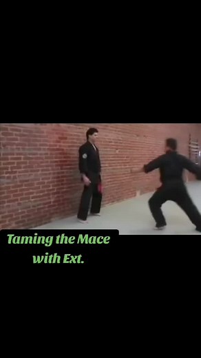 Demonstrating Taming the Mace and the Two-Man Set from American Kenpo Karate — showcasing precision, control, and power in motion. 🥋💥 The essence of timing and technique in every strike. #KenpoKarate #MartialArts #karatetraining | Central Coast Kenpo Karate