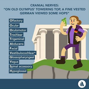 Learn more about effective study techniques here: http://msdmnls.co/3867jPF | MSD Veterinary Manual