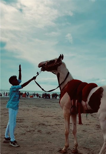 Brown monde.!!☄️🌈#ll_stand_sohan #fypシ #viral