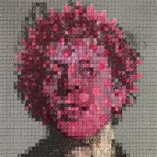 Pink Chuck | Norman Sherfield