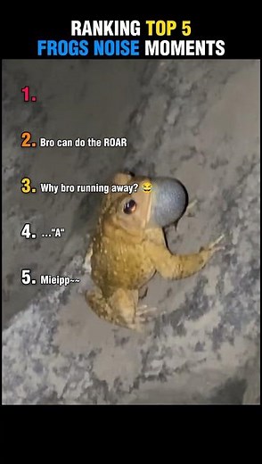 Ranking Top 5 Frogs Noise Moments 🐸🤣