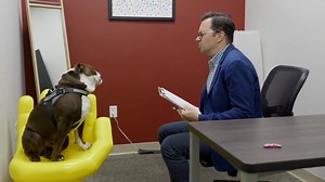 16 reactions | #FunFact Did you know that ALL University of Redlands students AND alumni have full access to the Office of Career and Professional Development? Whether you’re interviewing for your first job, pivoting careers, or updating your resume, OCPD is here to help you impact your career and your future. Start your career journey with OCPD today: https://ocpd.redlands.edu/ #OCPD #UofR #UniversityofRedlands | University of Redlands | Facebook