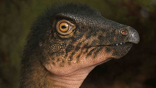 Denver Museum of Nature and Science finds dinosaur fossil underneath museum parking lot