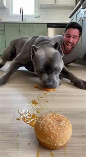 “Dog vs Human Burger Race 😂”