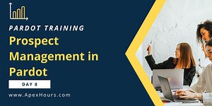 Prospect Management in Pardot