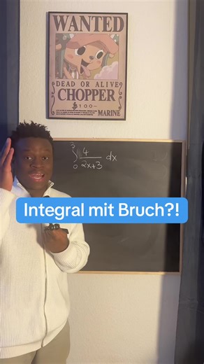 Integrale in der Mathematik verstehen