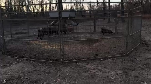 Simbarashe Rushesha (@simbarashe.rushes)’s videos with original sound - Simbarashe Rushesha